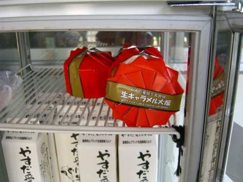 f:id:kajiakira:20090419075044j:image
