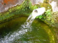 飯豊のせいすい（新発田市）－新・新潟県の名水02