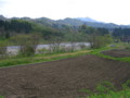 飯豊のせいすい（新発田市）の周辺－新・新潟県の名水04