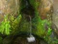 吉祥清水（村上市大毎）－新・新潟県の名水【平成の名水百選】０４