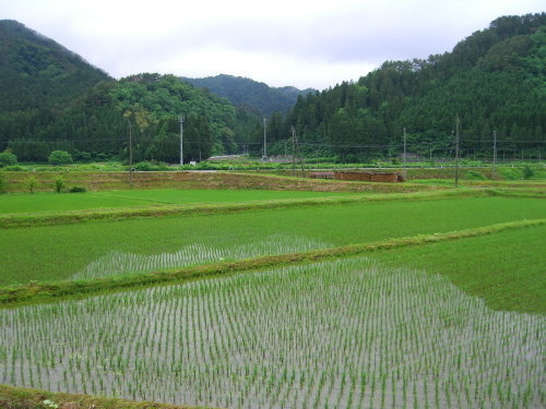 f:id:kajiakira:20090614091636j:image