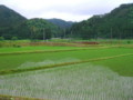 四十手清水（村上市山北町）－新・新潟県の名水【中継地区風景】