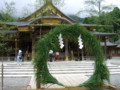 弥彦神社・茅の輪くぐり-20090630-02