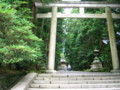 弥彦神社の境内・茅の輪くぐり-20090630