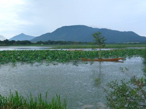 f:id:kajiakira:20090730011608j:image f:id:kajiakira:20090730011608j:image