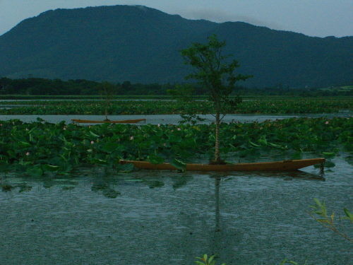 f:id:kajiakira:20090730011609j:image f:id:kajiakira:20090730011609j:image