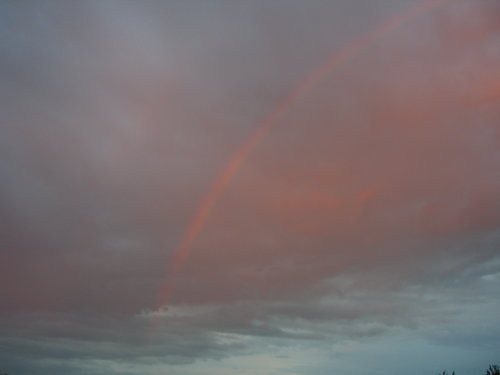f:id:kajiakira:20090730012026j:image
