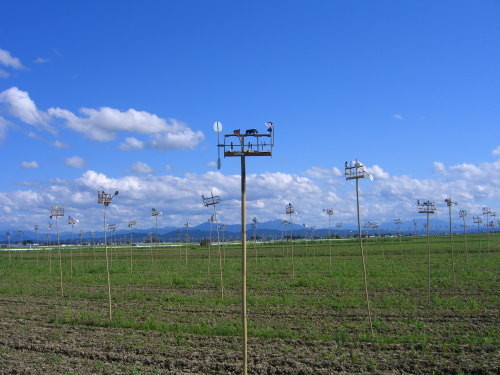 水と土の芸術祭2009－Sound of Harvest（新潟市南区山崎興野）20