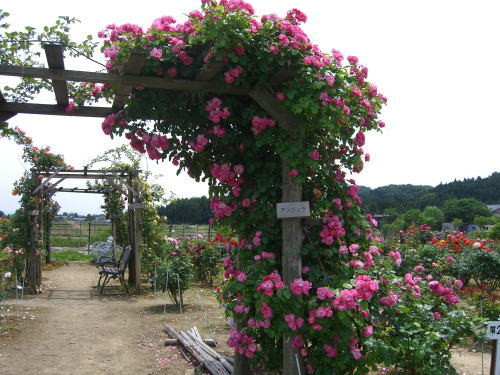 f:id:kajiakira:20110624145455j:image