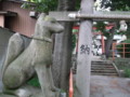 開運稲荷神社（新潟市中央区四ッ屋町）のこんこん様