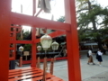 白山神社・風鈴まつり2017［新潟市中央区］