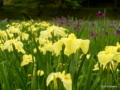 20180611163702