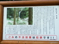 桃川のおたきさま（村上市桃川）【新潟県の名水】