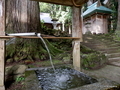 八木神社境内の八木ヶ鼻湧水（三条市北五百川）【新潟県の名水】