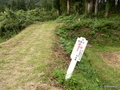 北五百川の棚田を潤す大久保の清水（三条市北五百川）【新潟県の名水