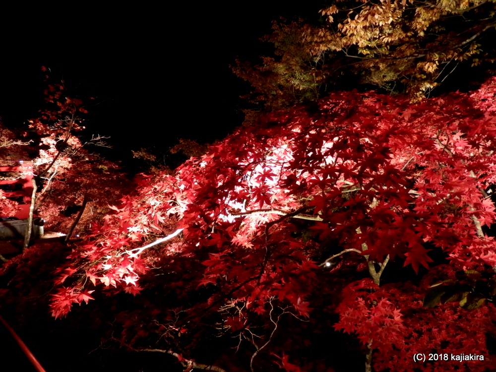 f:id:kajiakira:20181111194626j:plain f:id:kajiakira:20181111194626j:plain