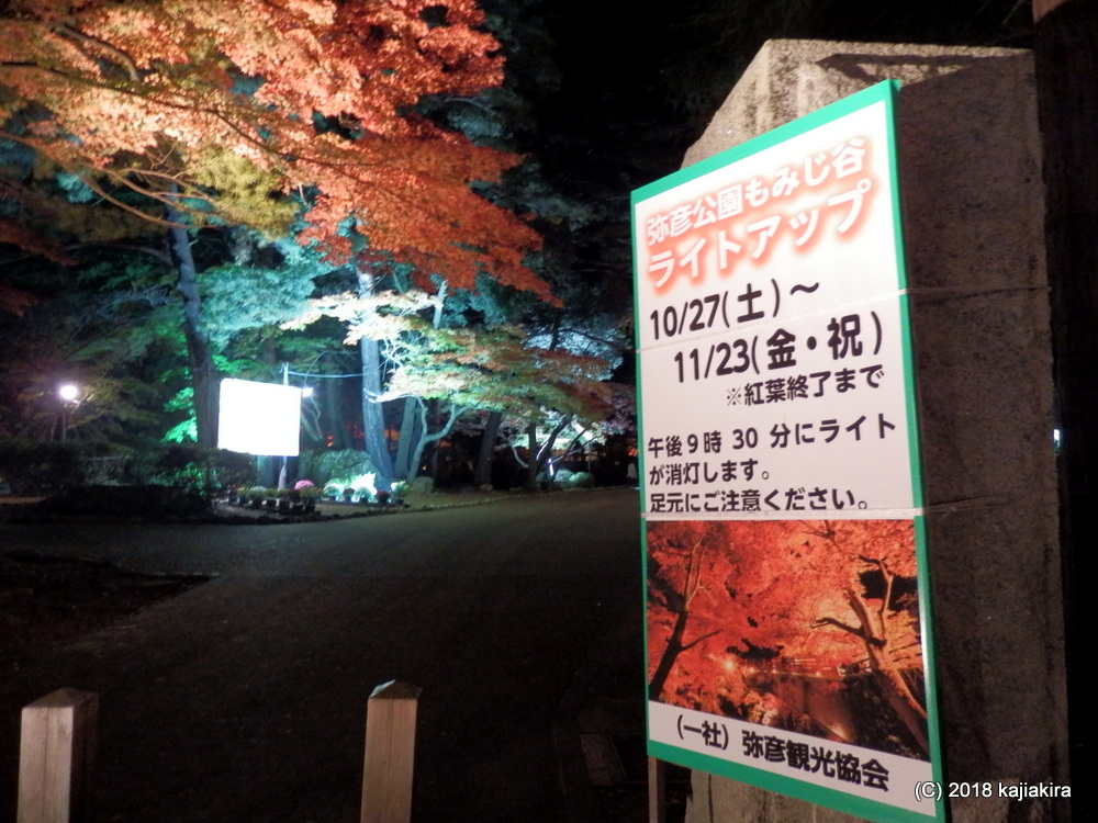 f:id:kajiakira:20181111200049j:plain f:id:kajiakira:20181111200049j:plain