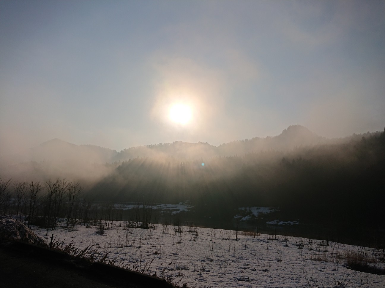 f:id:kajiakira:20190307233319j:image f:id:kajiakira:20190307233319j:image