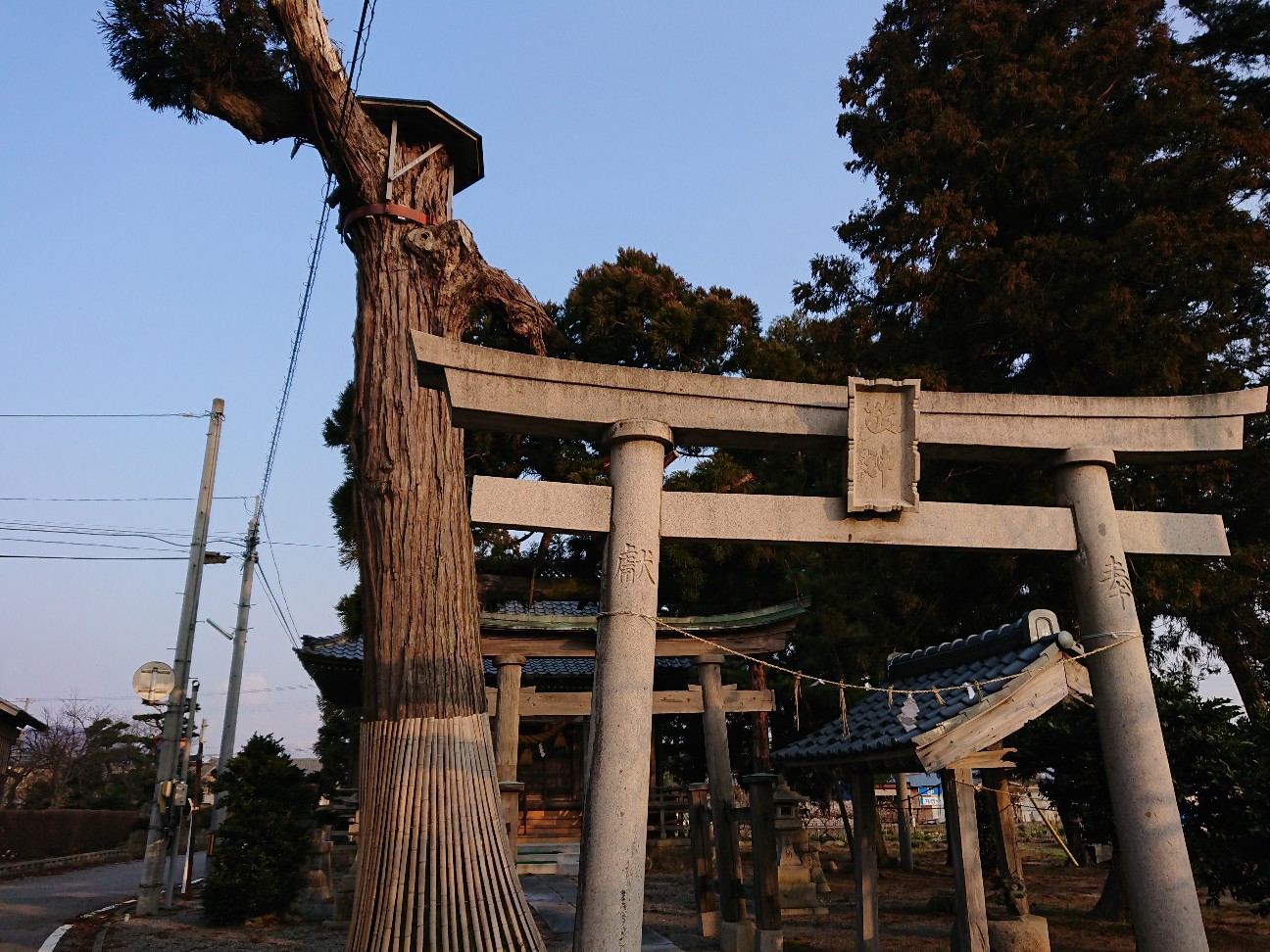 f:id:kajiakira:20190307234552j:image