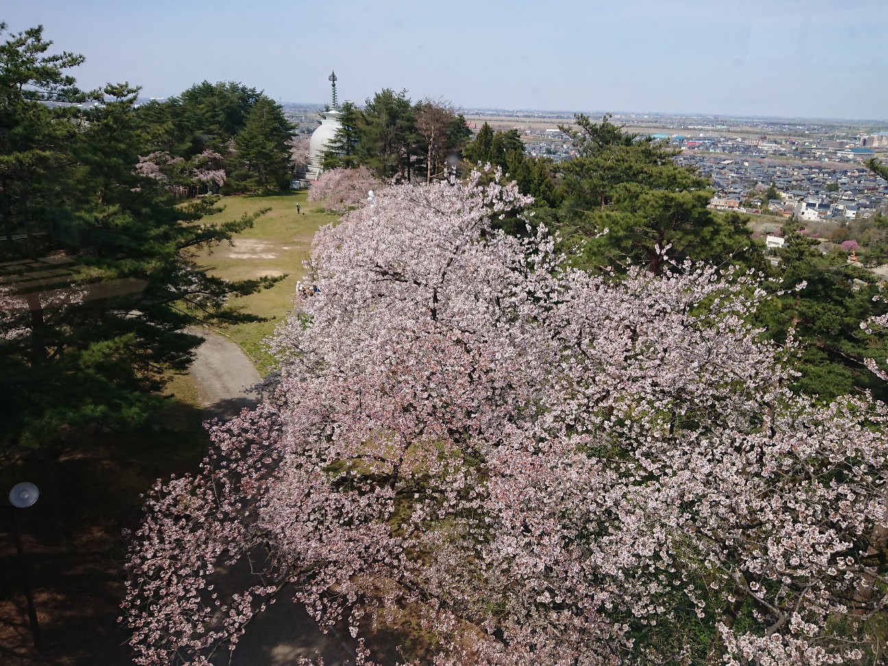 f:id:kajiakira:20190420163406j:image