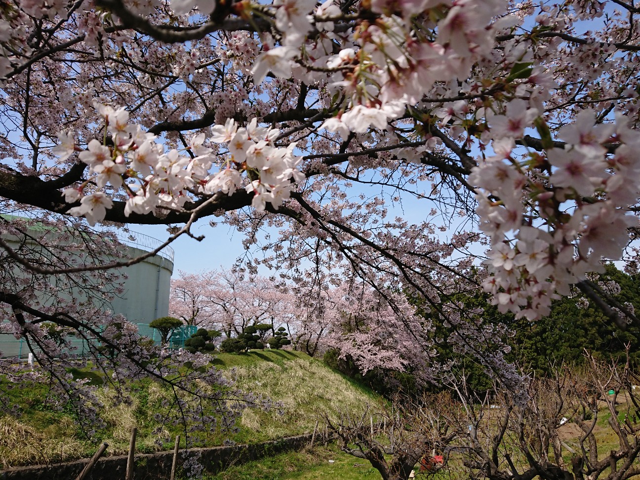f:id:kajiakira:20190420163434j:image