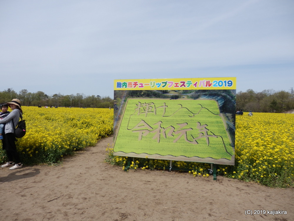 胎内市チューリップフェスティバル2019