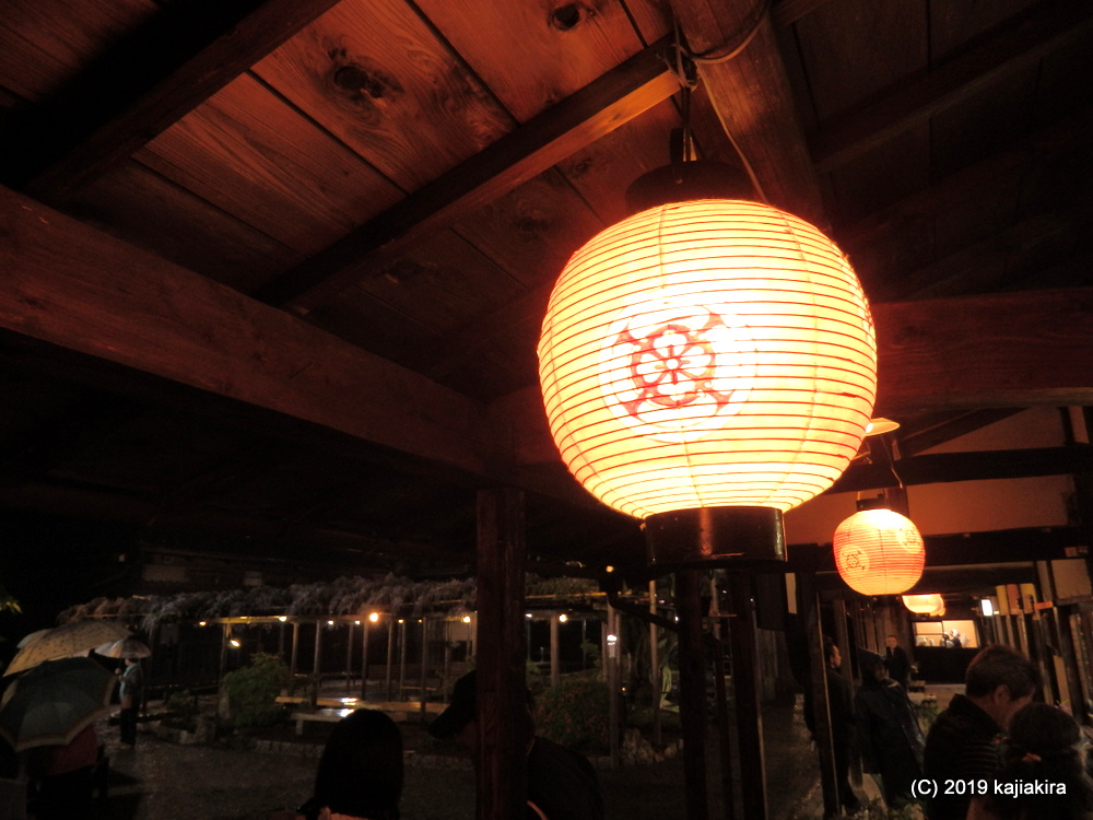 北方文化博物館・藤棚ライトアップ2019