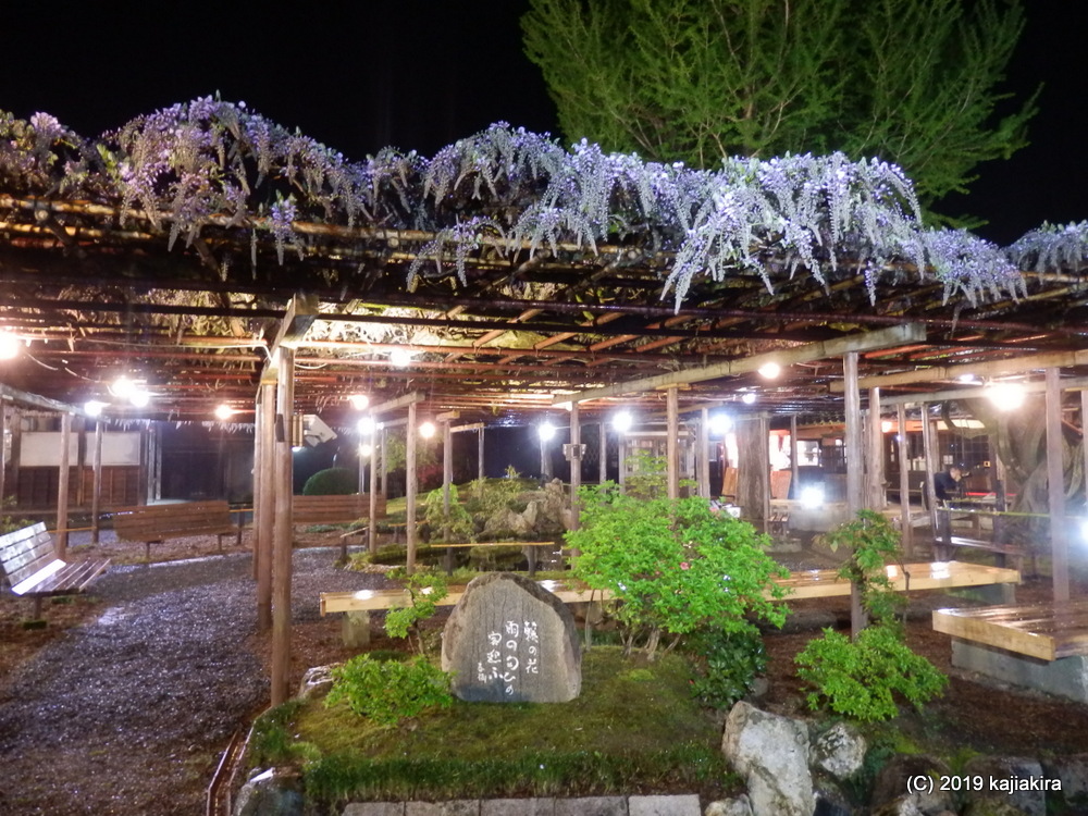 北方文化博物館・藤棚ライトアップ2019