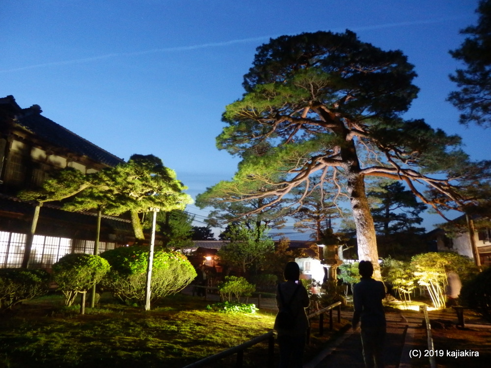 北方文化博物館・藤棚ライトアップ2019
