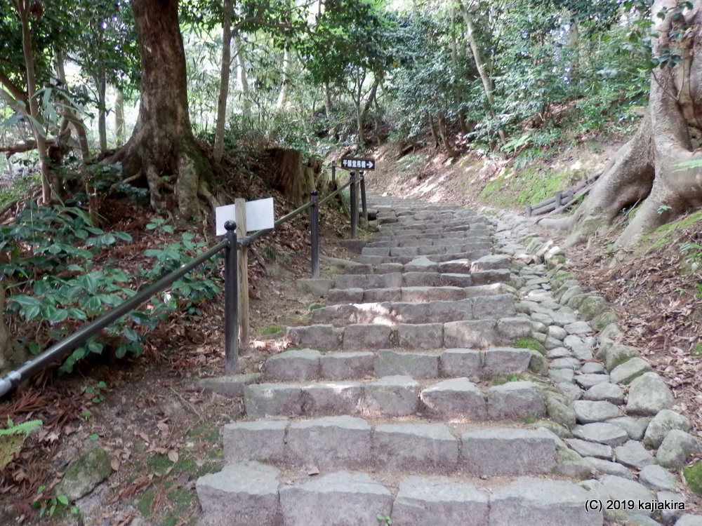 f:id:kajiakira:20190506155529j:plain f:id:kajiakira:20190506155529j:plain