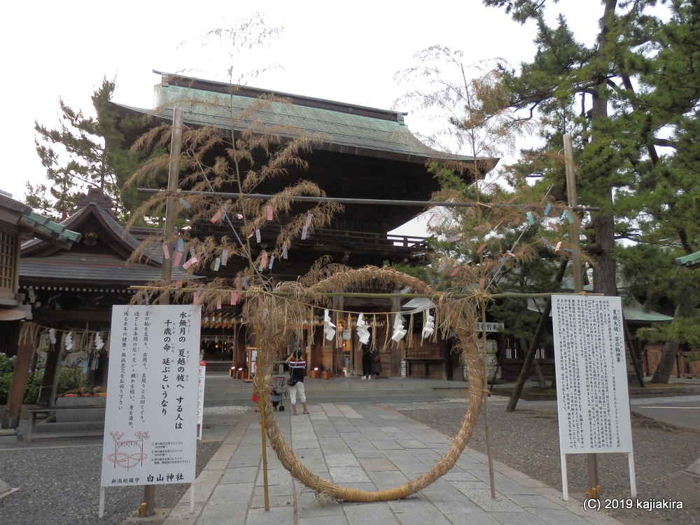 風鈴が涼を呼ぶ、新潟総鎮守・白山神社「開運七夕まつり」2019