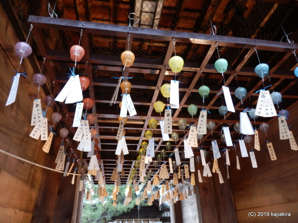 風鈴が涼を呼ぶ、新潟総鎮守・白山神社「開運七夕まつり」2019