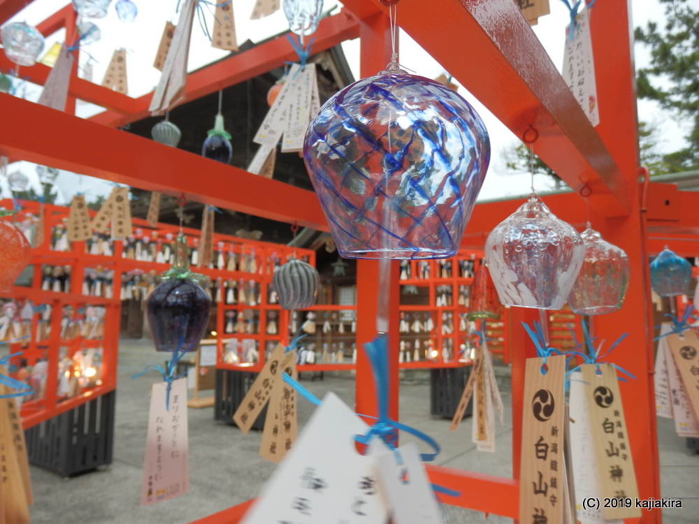 風鈴が涼を呼ぶ、新潟総鎮守・白山神社「開運七夕まつり」2019