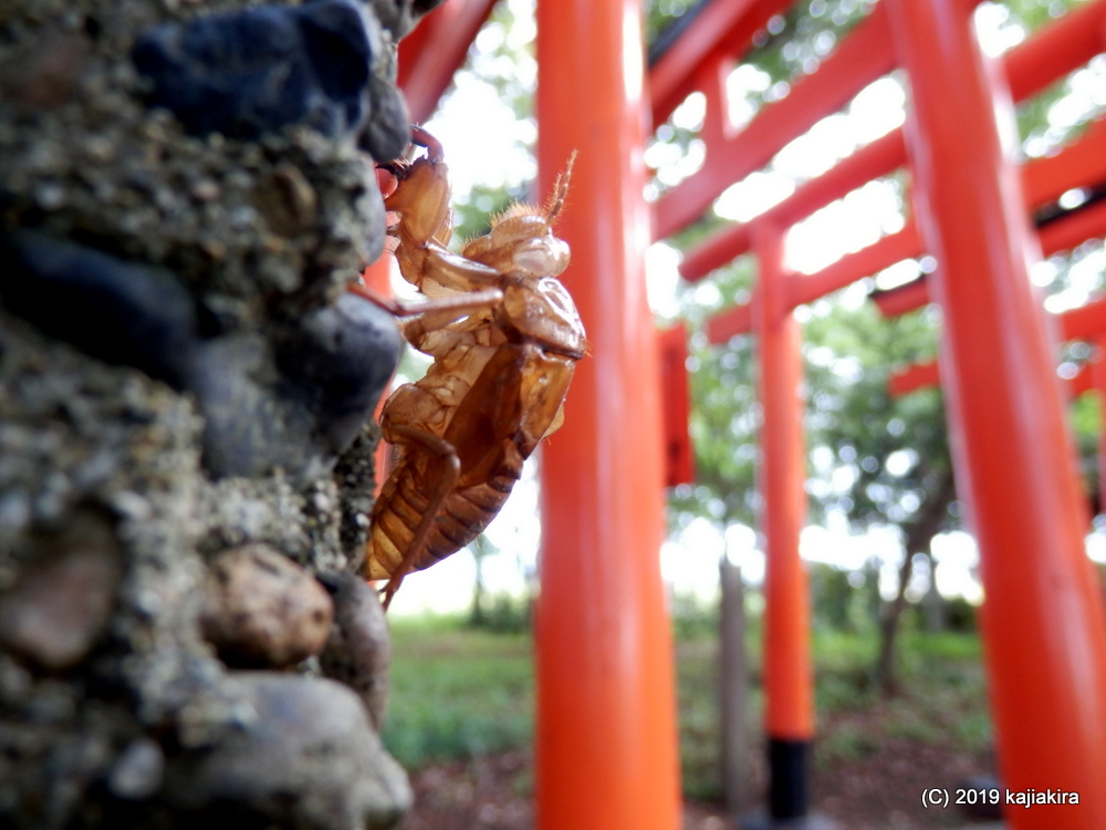 北谷内稲荷神社 奥の院（新発田市下興野）