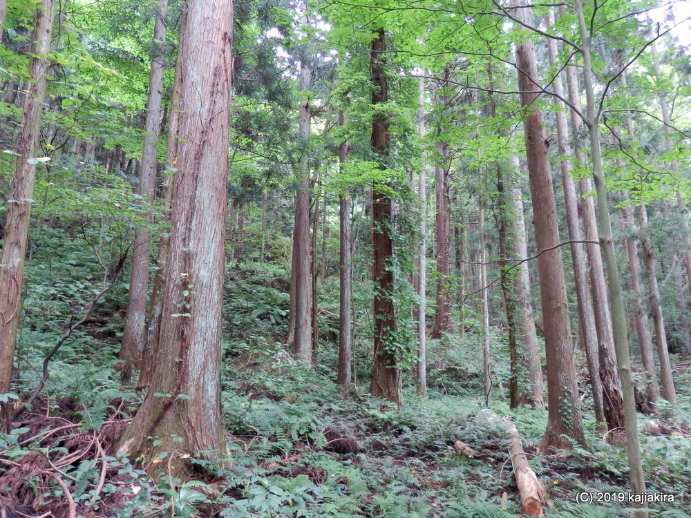 縄文遺跡「大石岩陰遺跡（新発田市下戸）」を久々に訪問