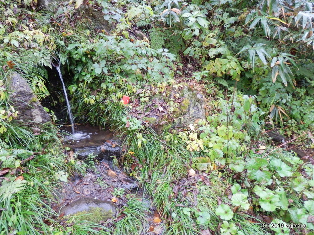 木曾義仲ゆかりの「木曽清水(妙高市大字上平丸)」【新潟県の名水】