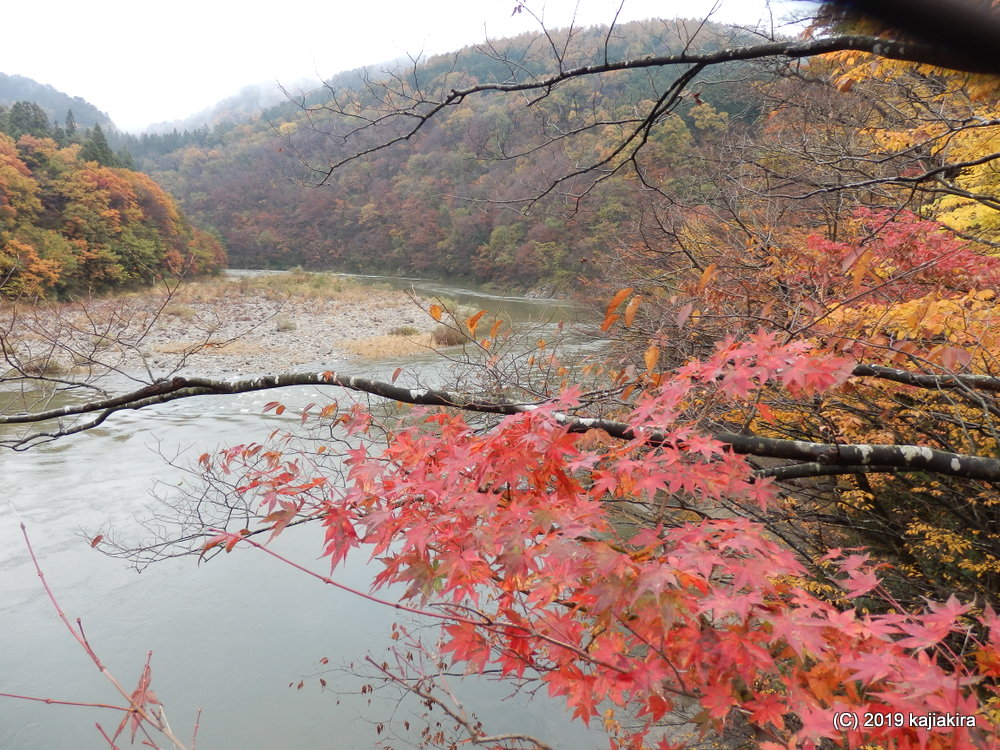 晩秋の「大石ダム」と紅葉の名所「荒川峡」（岩船郡関川村）