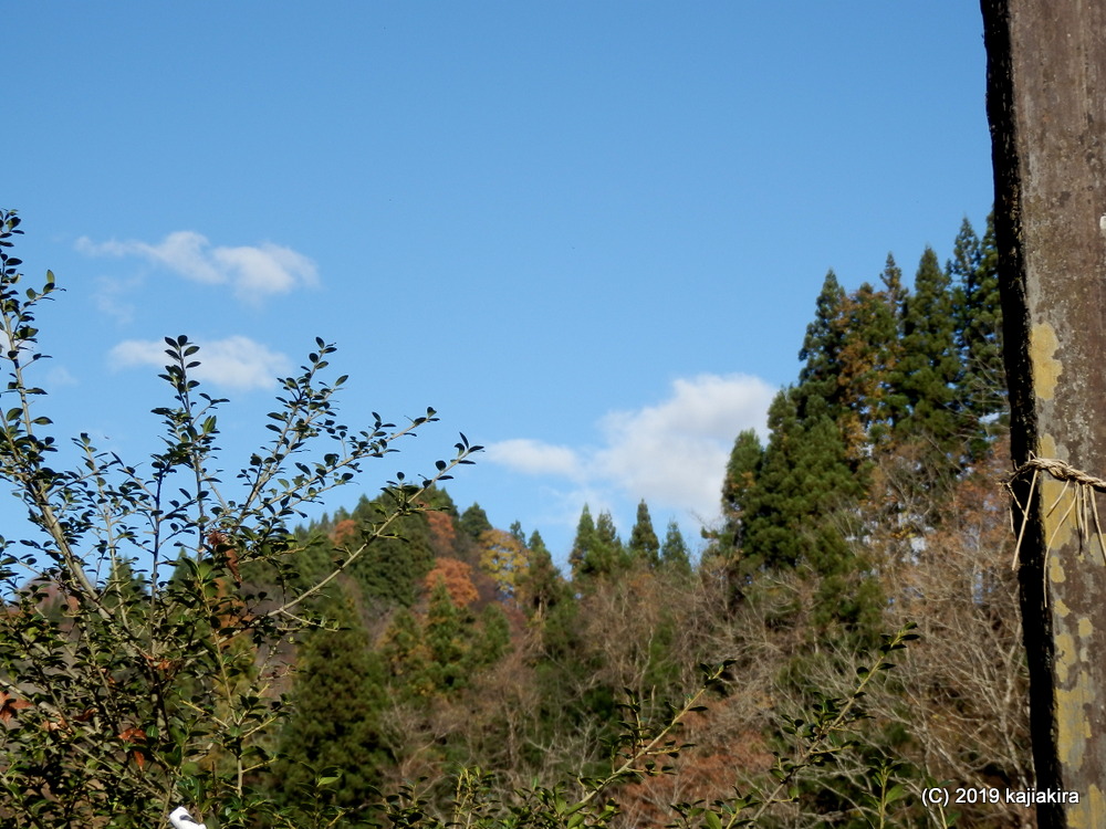 蓬平温泉開湯伝説に登場する高龍大神を祀る「高龍神社」（長岡市蓬平町）