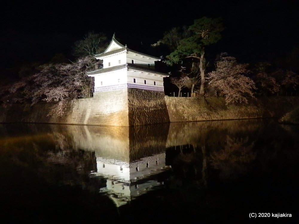 新発田城址公園の桜と新発田城ライトアップ 加持顕の日々是新潟