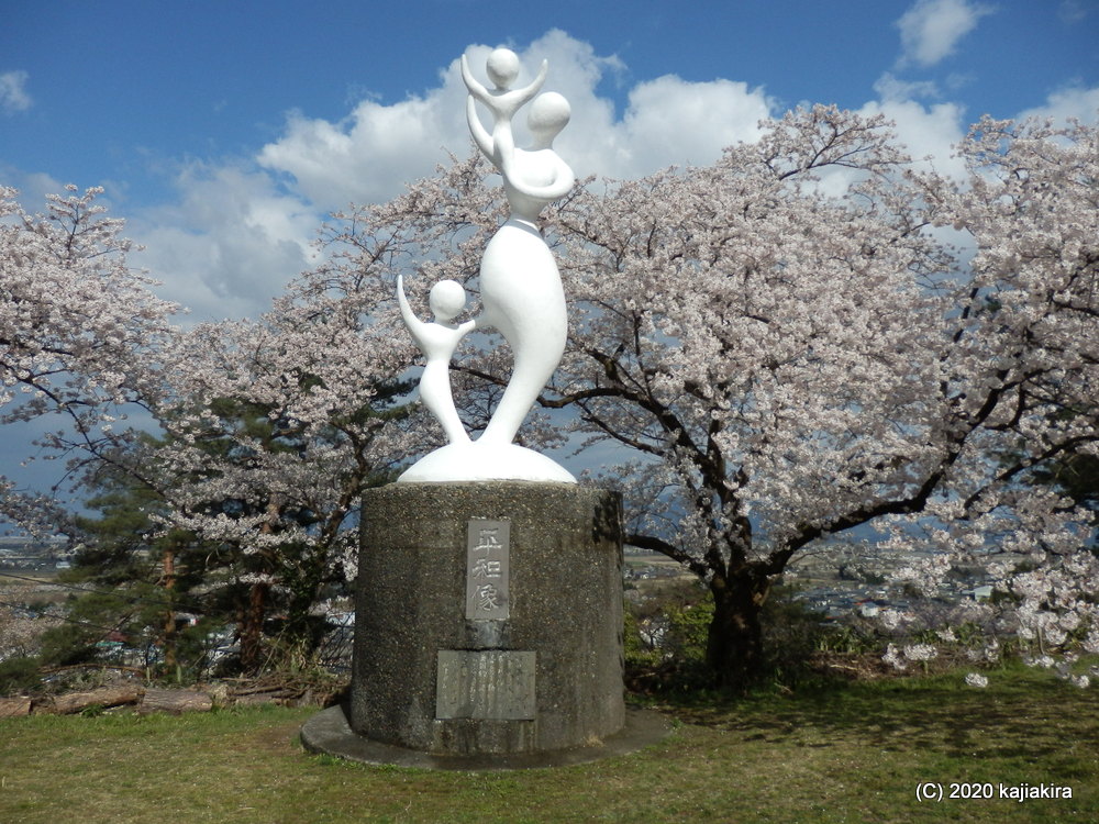 秋葉公園の桜2020