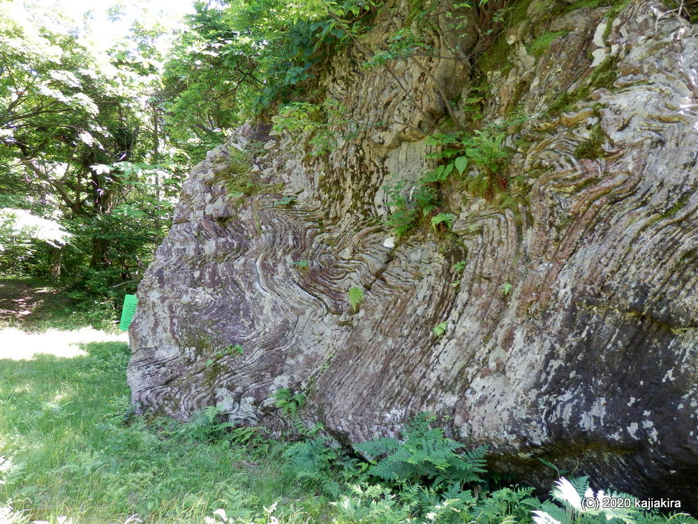古代のロマンあふれる、夏井の大波石（胎内市夏井）