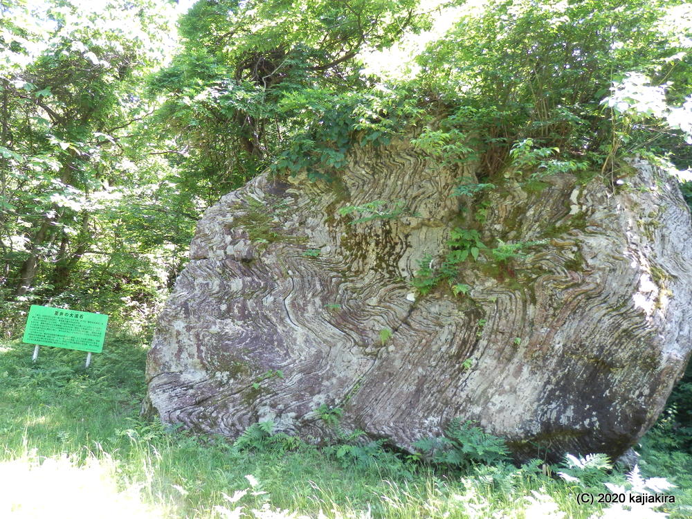 古代のロマンあふれる、夏井の大波石（胎内市夏井）