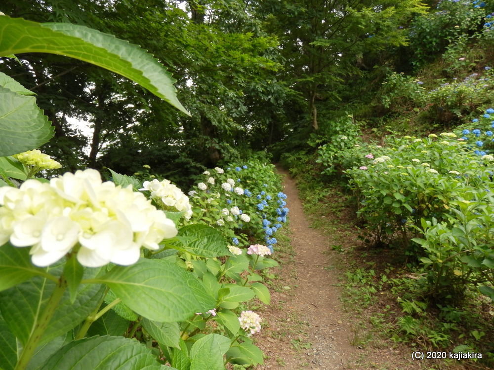 護摩堂山頂付近の祠と「団九郎」伝説考察