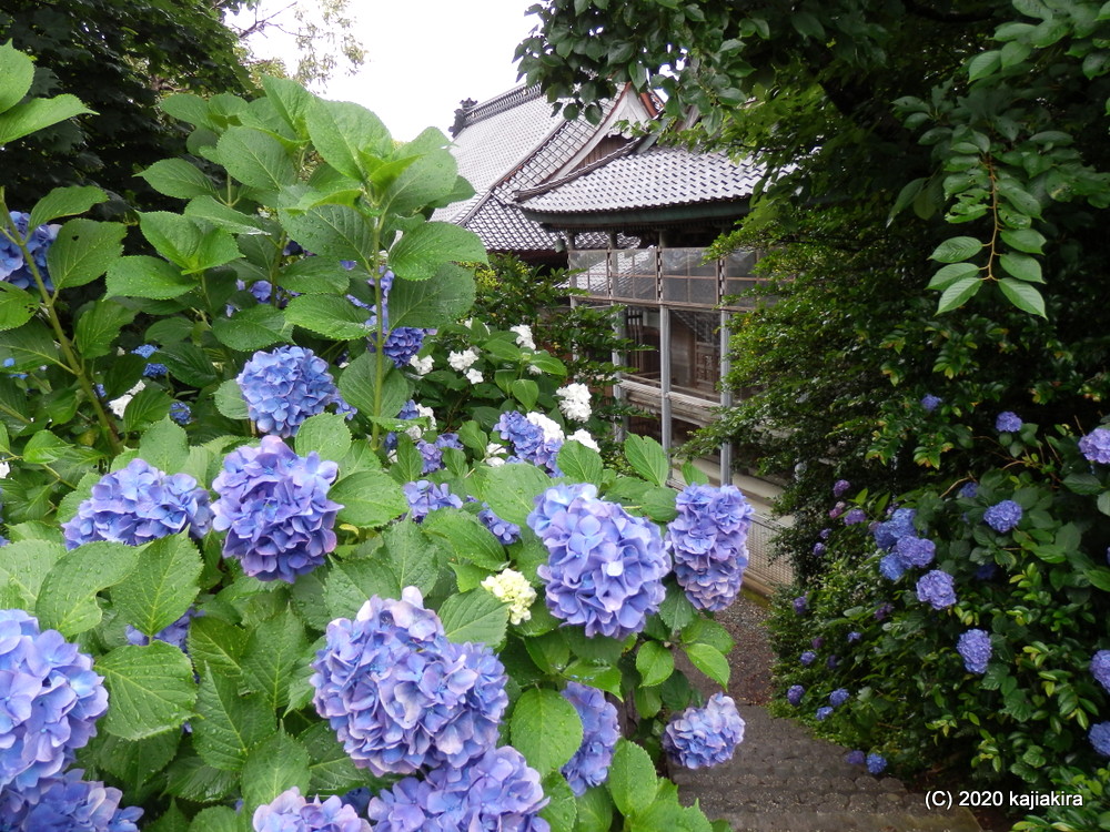 柏崎市内・神社仏閣探訪(1)番神堂