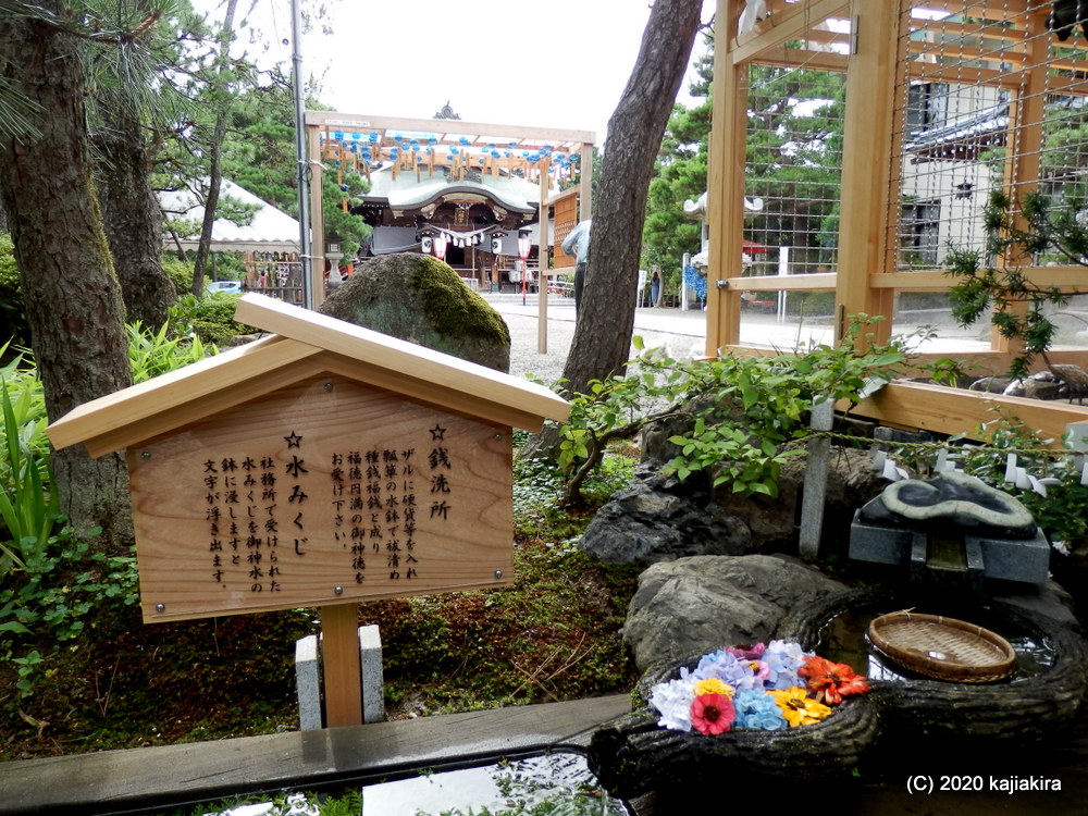 多彩な神々を祀る「五泉八幡宮(五泉市宮町5)」の「七夕風鈴祭」と「神使亀の池」、そして「銭洗所」 - 加持顕の日々是新潟