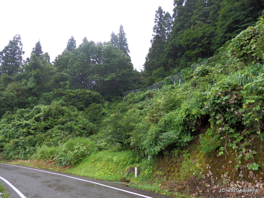 美人林から湧き出る「庚清水」（十日町市）新潟県の名水