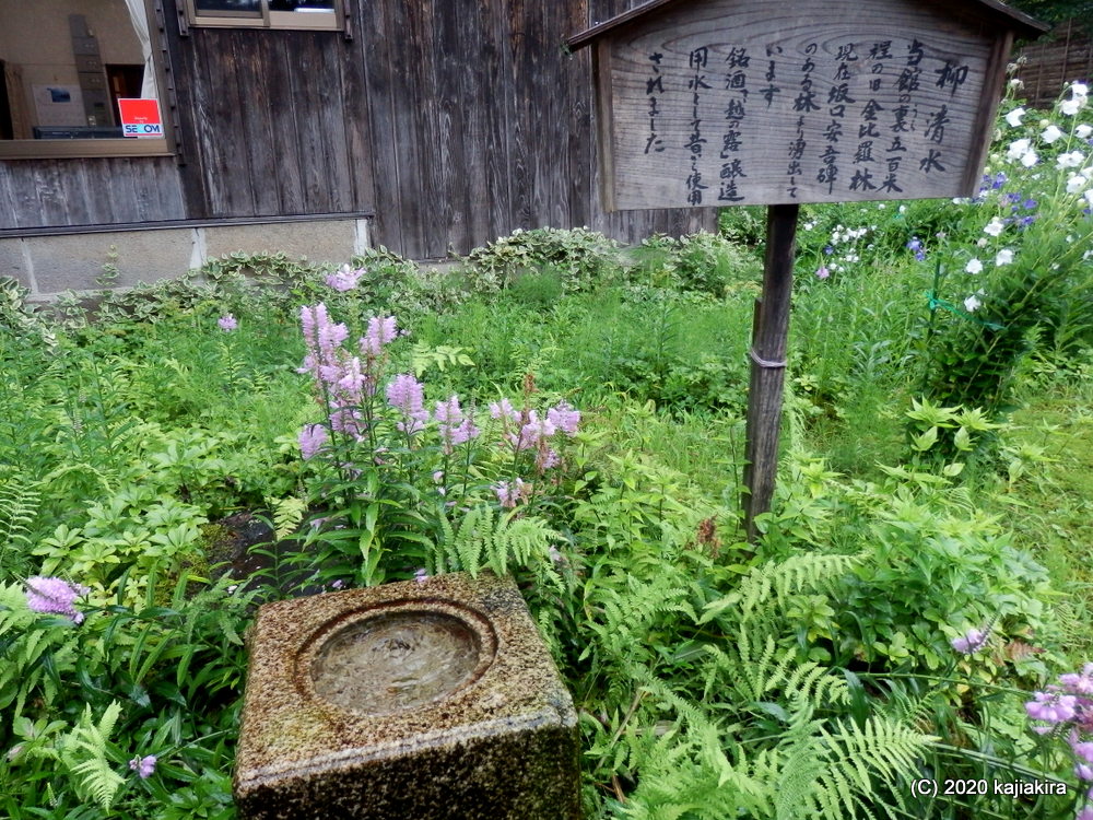 酒蔵の仕込み水だった「柳清水」（十日町市松之山1222）新潟県の名水