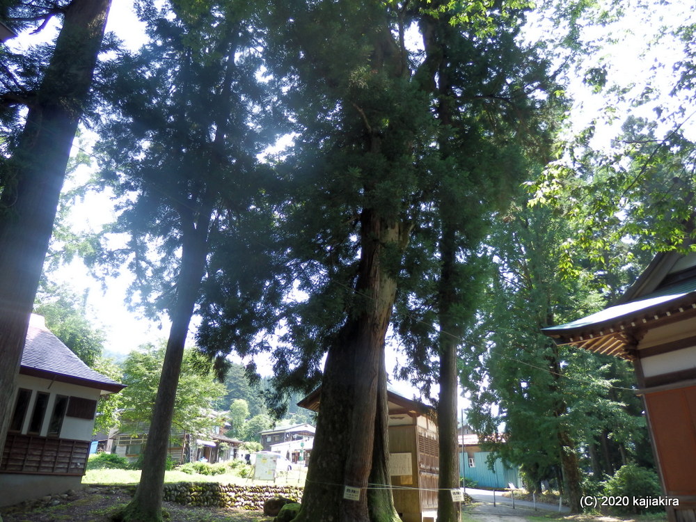 その他の系統「（栃堀）巣守神社（長岡市栃堀）」桜井識子「開運に結びつく神様のおふだ」掲載(3/4)