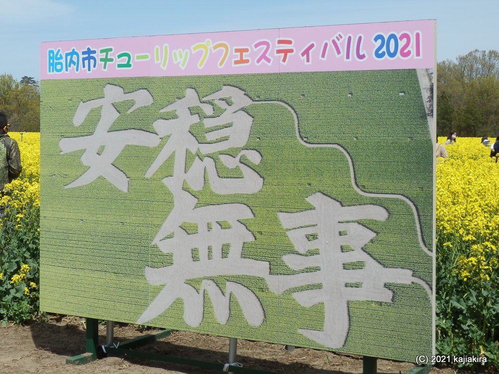 胎内市チューリップフェスティバル21 4 24 加持顕の日々是新潟