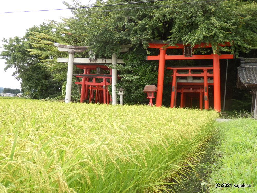 久々の新発田市内神社仏閣巡り「菅谷不動尊」～「大友稲荷 奥の院」